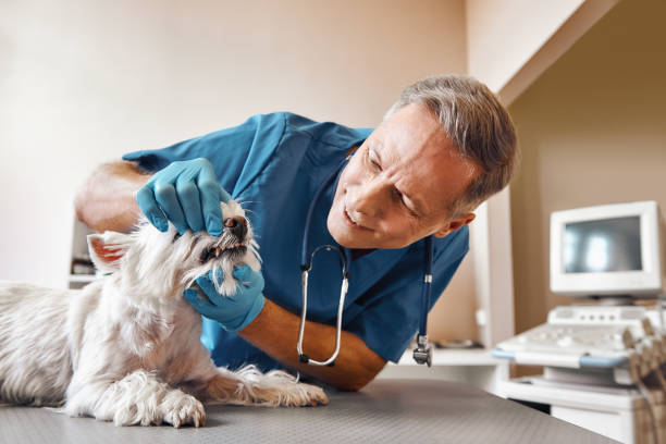 Best Emergency Tooth Extraction in Clay City, KY
